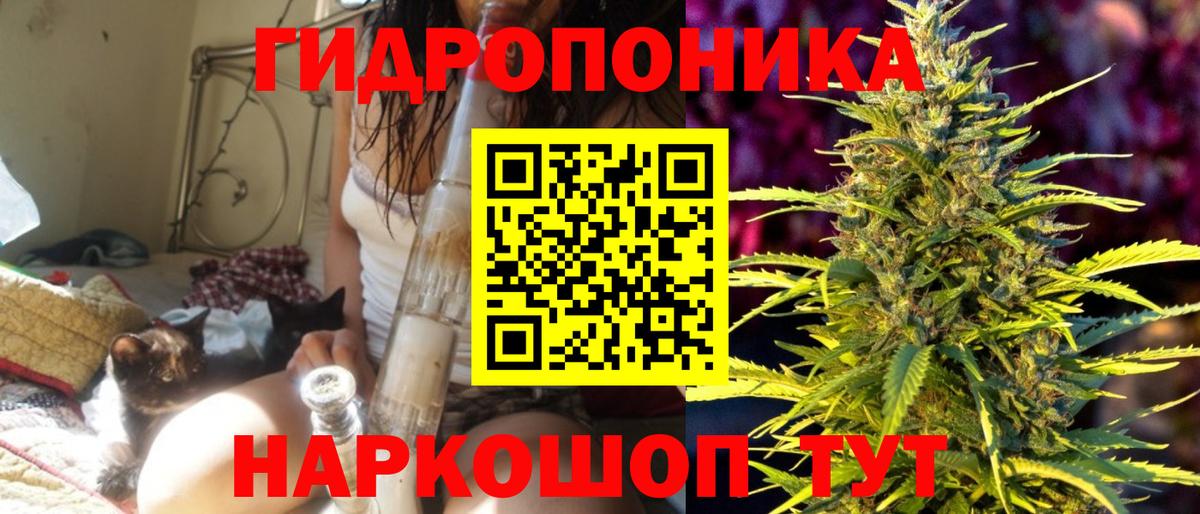 Каннабис индика Сосновый Бор